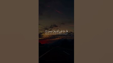 سورة المؤمنون - ماهر المعيقلي #quran #قرآن #قران_كريم #qurantilawat
