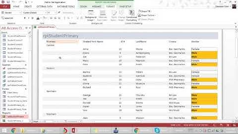 Conditional Formatting Reports  | MS Access Database 46