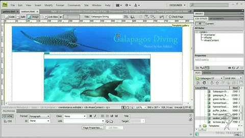 Dreamweaver CS4 Quicktip: Save for Web