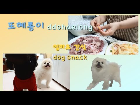 강아지 수제간식 황태오리말이 집에서 만들어요, Homemade dog snack (dried pollack and duck roll)