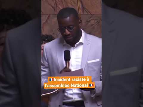 Un député raciste