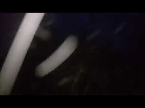 კოკისპირული წვიმა და ქარიშხალი ჩოხტაურში