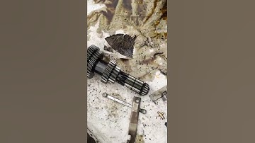 🚧🚧⚓⚓zf gearbox reverse gear not working 🚧🚧🚧🚧⚓#subscribe #shortsvideo #shorts