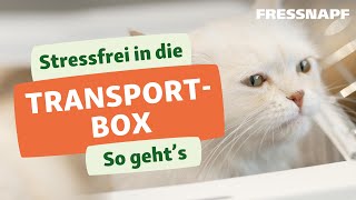 Transportbox und Katze: So klappt's | Katzentraining | FRESSNAPF - YouTube