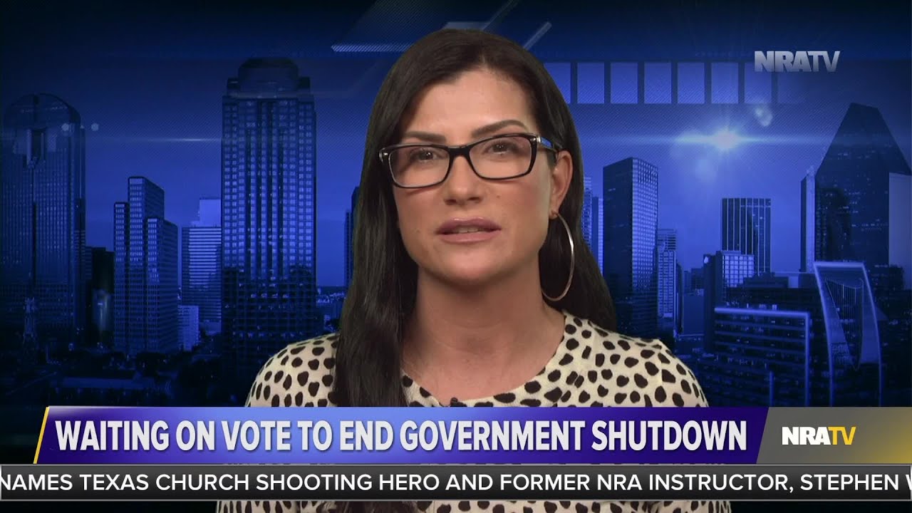 Dana Loesch: Democrats Will Destroy America To Spite Republicans - YouTube