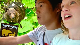 It FINALLY Happened.  Scary Close Encounter with Wild Bears in Hokkaido, Japan [2022 Travel Vlog]