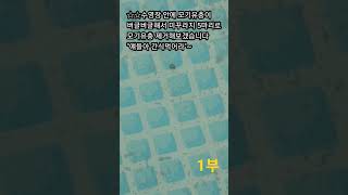 1부☆☆수영장 안에 모기유충이 버글버글해서 미꾸라지 5마리로모기유충 제거해보겠습니다&quot;얘들아 간식먹어라&quot;~