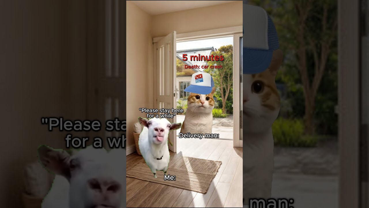 CAT MEMES When You Have Superpower Catmemes Relatable