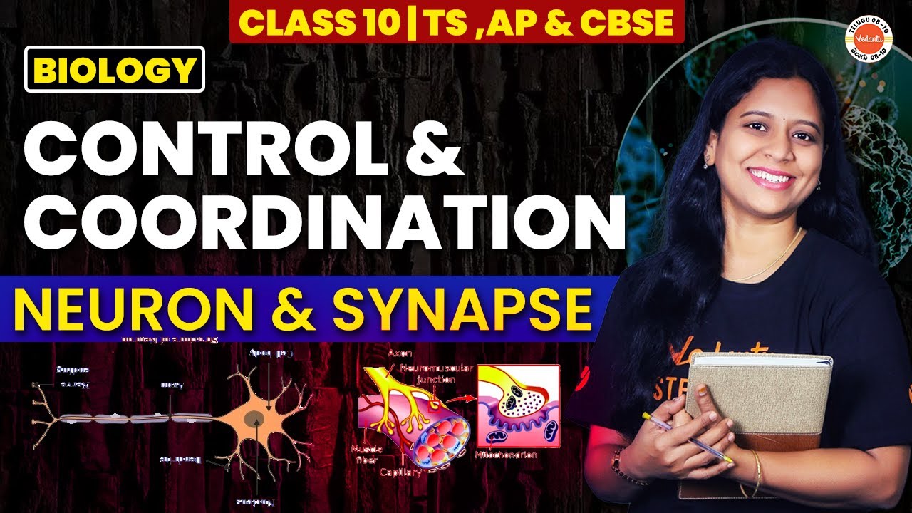 Control & Coordination | NEURON & SYNAPSE | Class 10 TS ,AP & CBSE ...