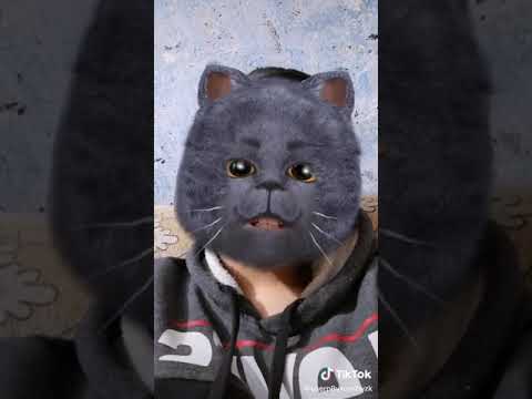 ۱۳ مارچ ۲۰۲۰