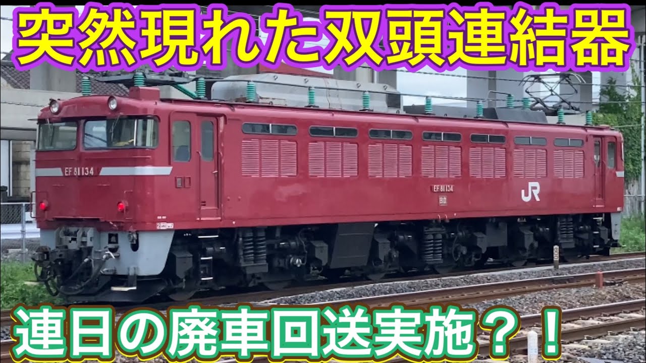Two different types of JNR electric locomotives were there! The