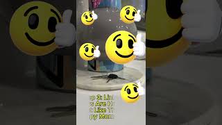 Never Lose Your Keys Again! 5-Second Memory Hack!  #brainhacks  #memorytips  #quiz #facts #lifetips