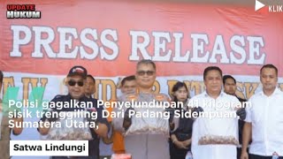 Riau, Polisi Berhasil Gagalkan Penyelundupan 41 Kilogram Sisik Trenggiling