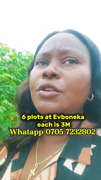 6 plost at Evboneka each 3m