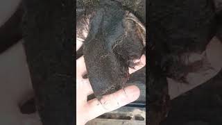 Cleaning evaporator out on a arcoaire air conditioning and heating unit
