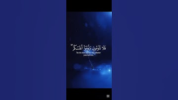 #تلاوة_خاشعة #المصحف #السعودية #العراق #المغرب #قرآن #قران_كريم