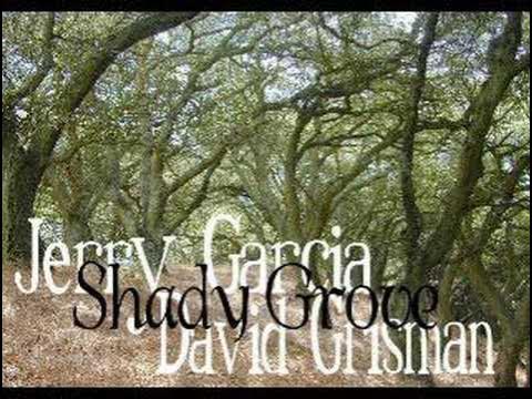 Jerry Garcia and David Grisman - Shady Grove