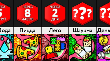 Сколько Переваривается ___?