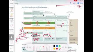 21 Hydroxylase Enzyme Deficiency 25 First Aid Usmle Step 1 In Urduhindi