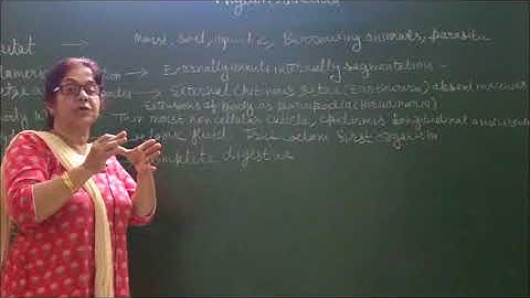 Bio-XI-4-08 General characteristic of phylum annelida,  Pradeep Kshetrapal channel