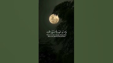 القارئ حسن الخولي || وإن من شيء إلا يسبح بحمده