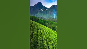 #القرآن_الكريم #إبتهالات_دينية #تلاوة_خاشعة #تلاوات #فيديو
