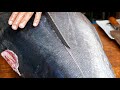 Japanese Street Food - GIANT BLUEFIN TUNA CUTTING Sashimi Tokyo Seafood Japan