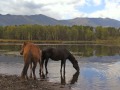 Усть-Коксинский район Уймонская долина