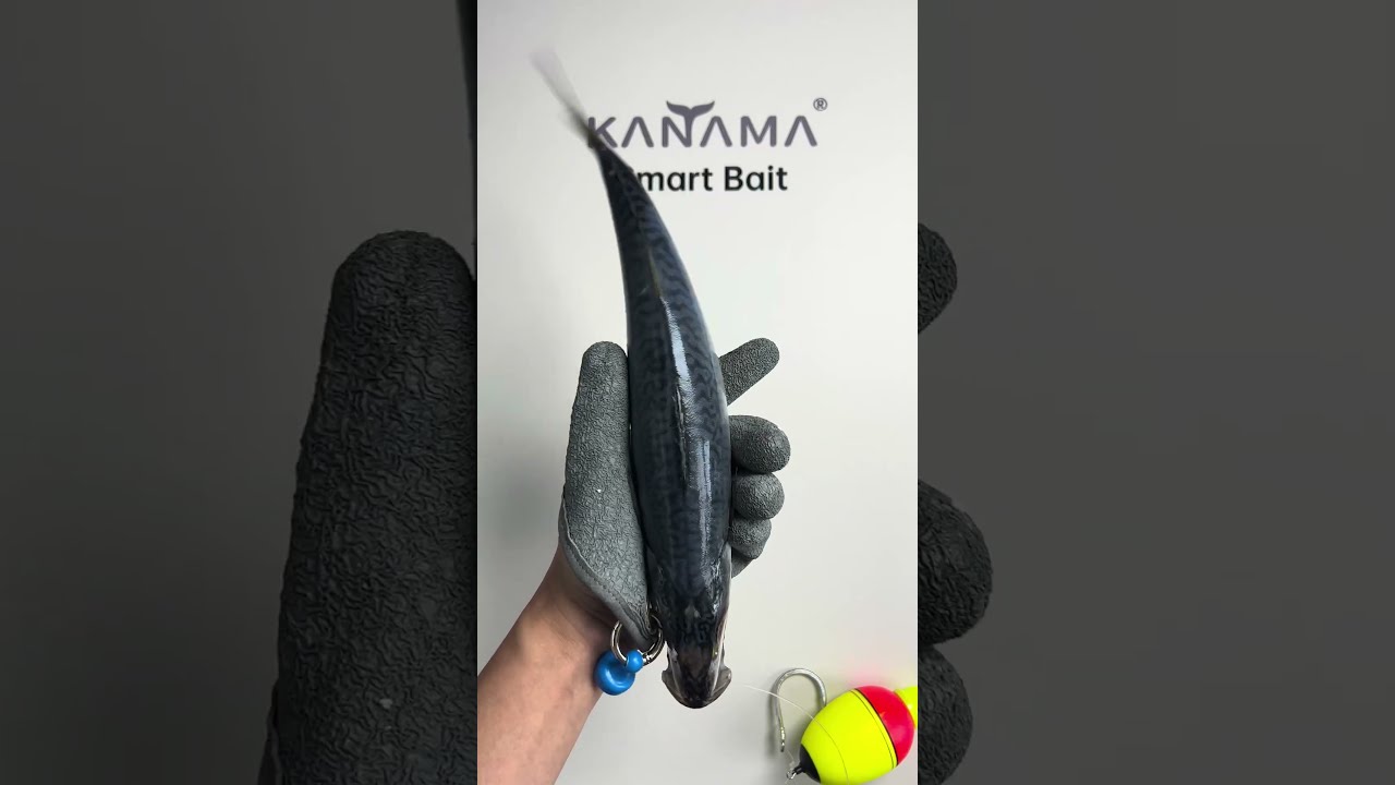  Kanama Smart Bait Revive Dead Fish And Catch Big Easily Fishing Angler