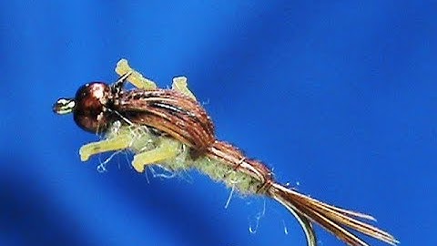 Fly Tying an Improved Generic Nymph with Jim Misiura