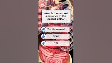 Human Anatomy Quiz 2 🧠 | Can You Score 7/7? #quiz #trivia #puzzle