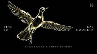 Blasterjaxx & Timmy Trumpet   Time To Say Goodbye [Visualizer]