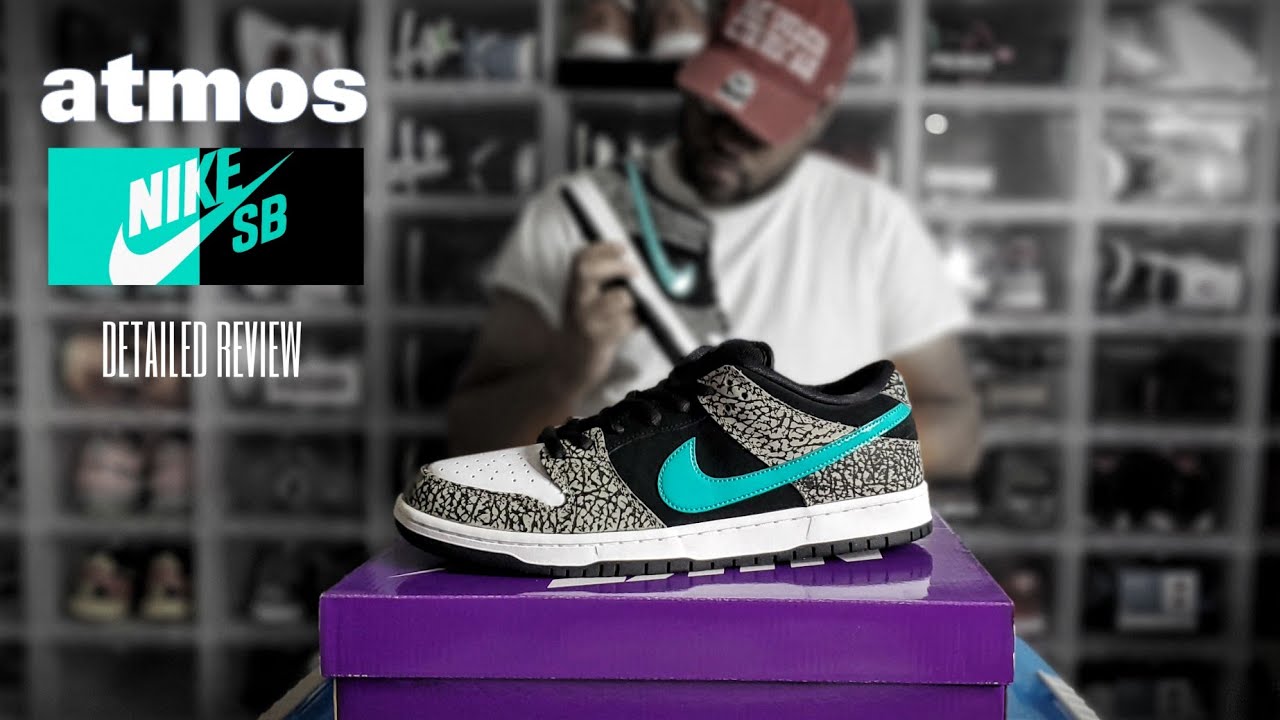 ATMOS x NIKE SB DUNK LOW ELEPHANT PRINT Review in 4K Ultra HD 