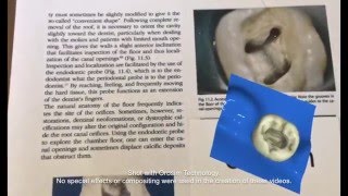 Augmented Reality (AR) in Endodontics