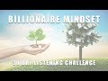 Billionaire mindset programming  wealth  prosperity affirmations  try for 30 days