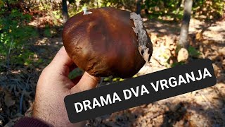 Pronasao Vrganje Jupiii U Epizodi-Legenda Kaze...