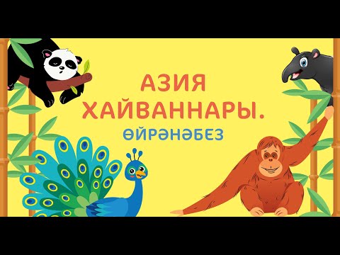 Бәби сүз: Азия хайваннары / Животные Азии / Asian animals