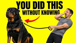 The Biggest Mistake New Rottweiler Owners Make (That Causes Problems Later)