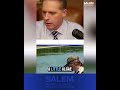 Why is the media obsessed with algae at the reflecting pool?