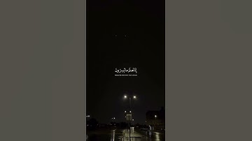 فلا يحزنك قولهم إنا نعلم ما يسرون وما يعلنون.. القارئ محمد هشام