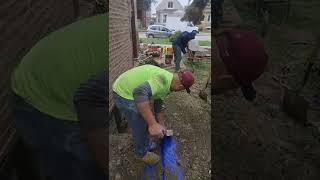 Celebrity fixing cracked foundations Chicago il 773 499 3260 or 312 312 1039 guaranteed work 100% Wealth