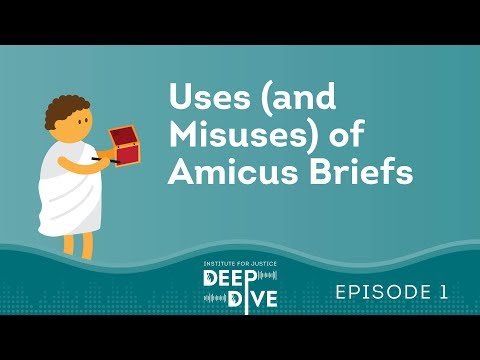 Uses (and Misuses) of Amicus Briefs
