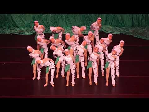 春蝉 现代舞蹈 石家萍舞蹈学校 09302018