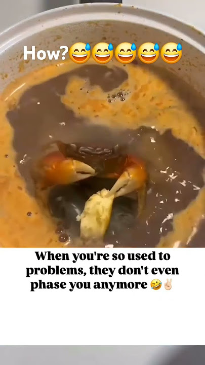 Makan kepiting sambil dimasak? Gimana 😅😅😅😅😅 #lucu #celanapendeklucu #kepiting #viralshort #trensekarang