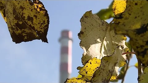 Jak probíhá oxidace železa a Mangana?