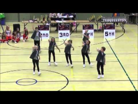DANCE VIBEZ CREWS