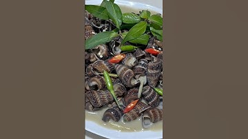 Ốc Len Xào Cốt Dừa Ngon Khó Cưỡng #Ốc #alotravinh #cooking