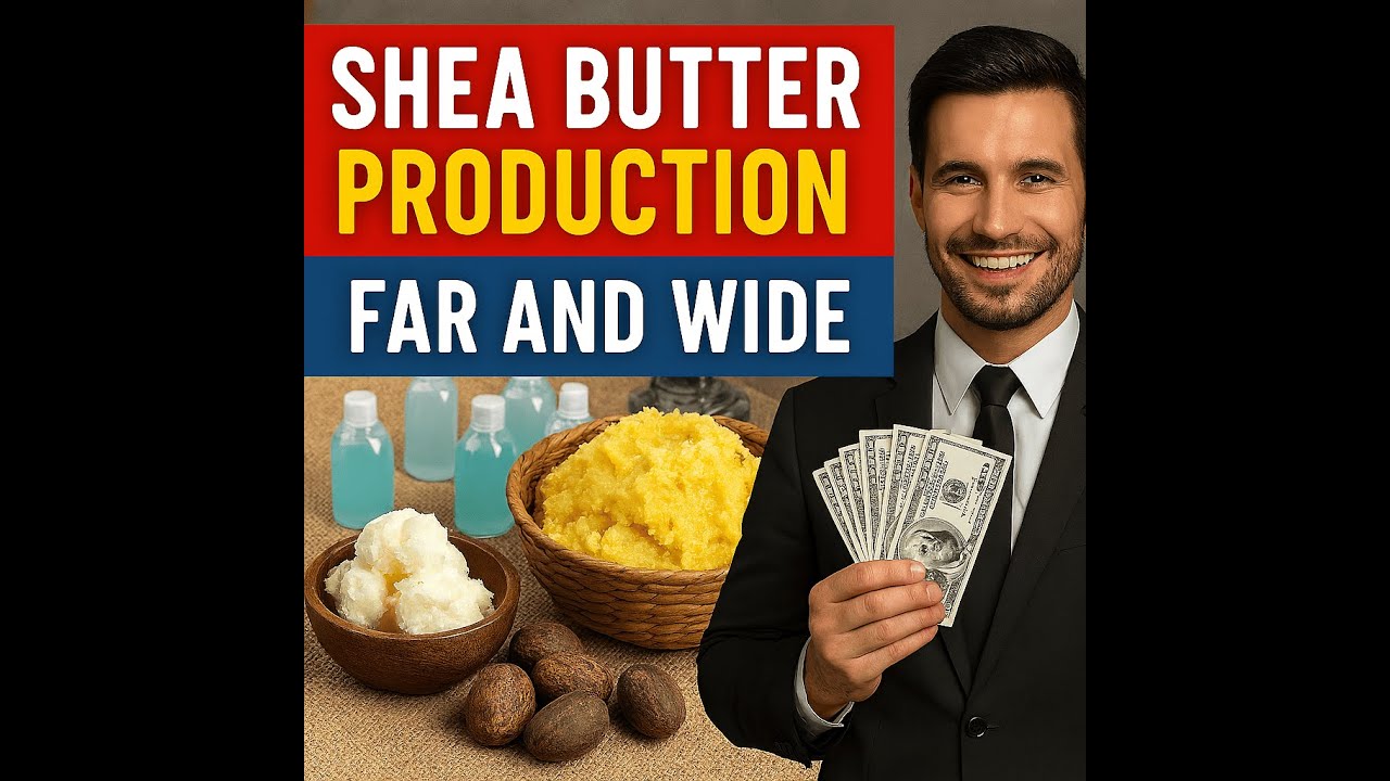 Shea butter production business far and wide 