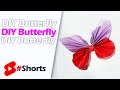 Beautiful DIY Butterfly 🦋