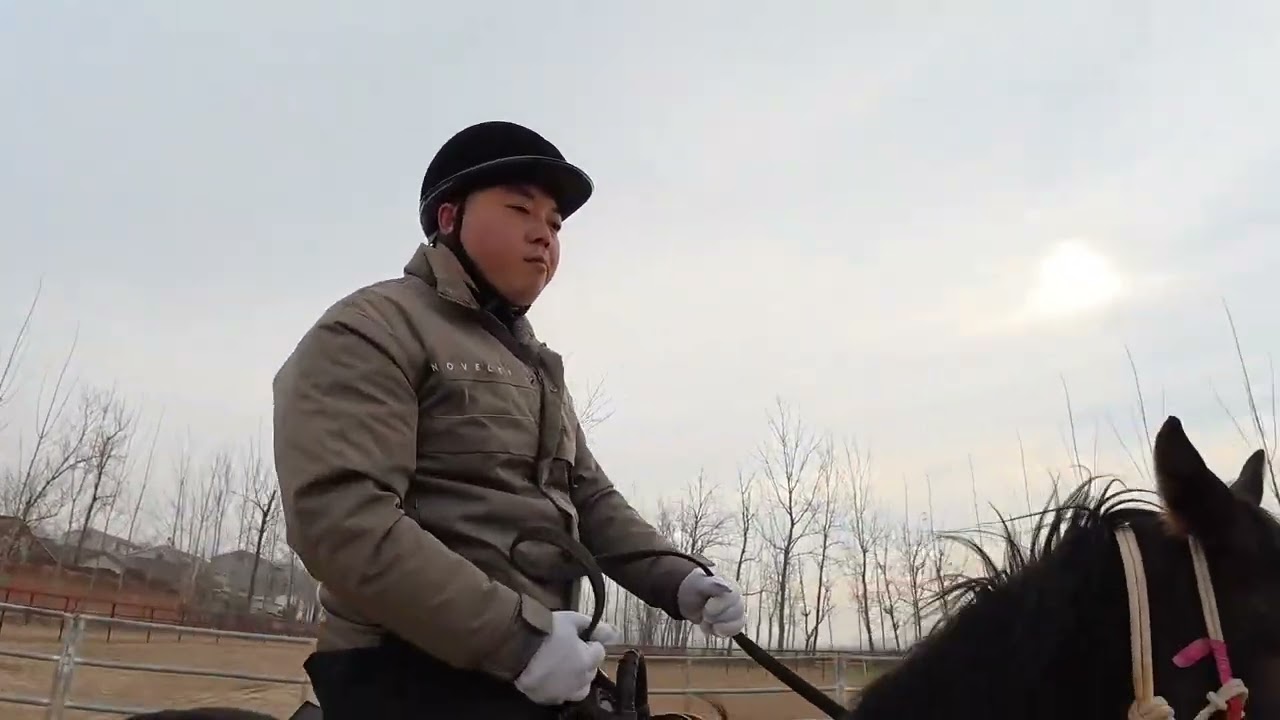 全程无删减分享骑马教学经验，希望可以帮到想学骑马的小伙伴们！ #河南驯马小伙骑士威 #易明马道 #中国人的驭马之道 #以柔克刚驯马法 #传播中国马文化
